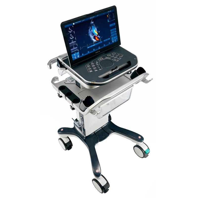 Ультразвуковая система Vivid iq